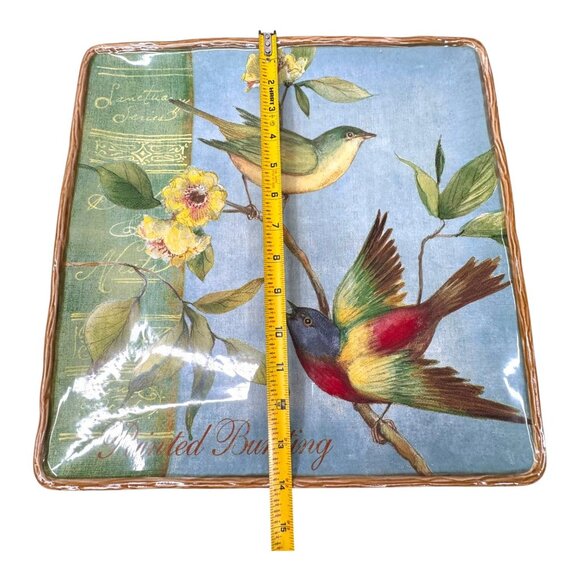 Certified Int Botanical Birds Square 14” platter painted bunting Susan Winget - Picture 6 of 7